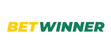 BetWinner Bingo